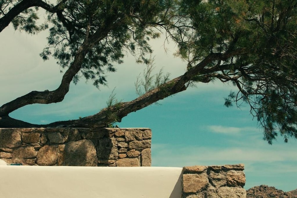 The Wild By Interni — Hotel building in Kalafatis, South Aegean