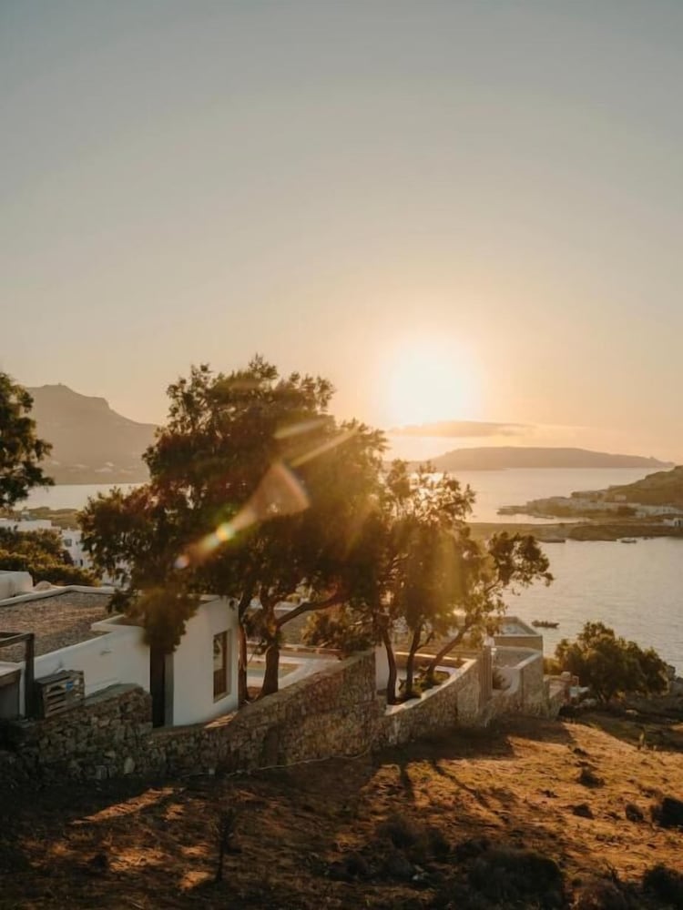 The Wild By Interni — Attractions in the area in Kalafatis, South Aegean