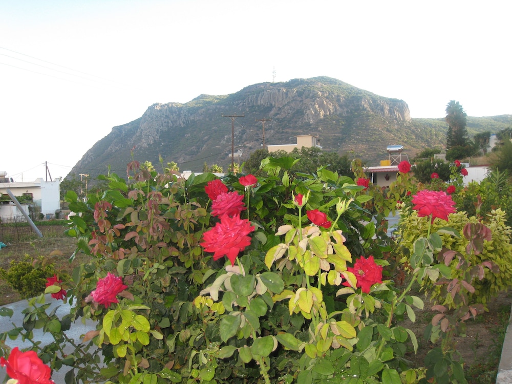Stenna Apartments — Attractions in the area in Kefalos, South Aegean