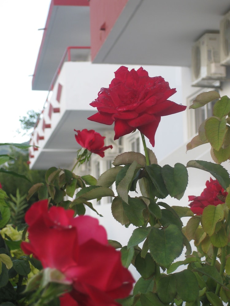 Stenna Apartments — Hotel building in Kefalos, South Aegean