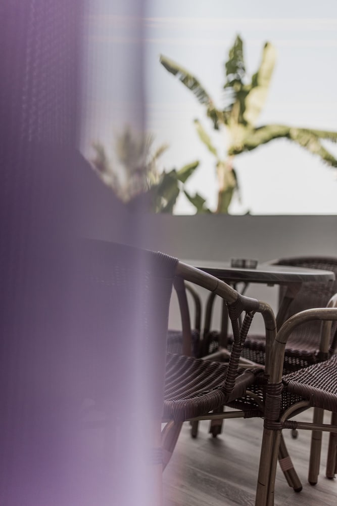 Zante Calinica Hotel — Restaurant & bars in Tsilivi, Ionian Islands