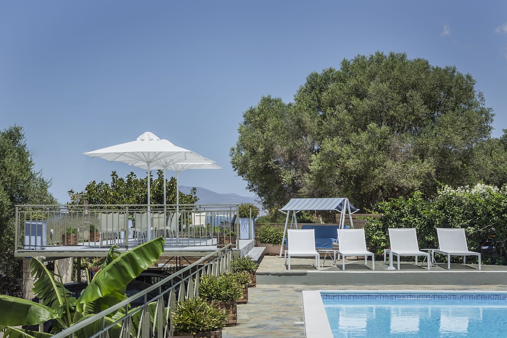 Panorama Fanari Studios & Apartments — Swimming pool in Lassi, Ionian Islands