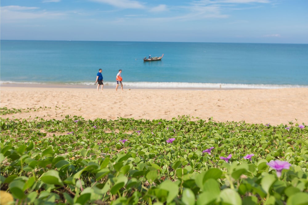 Maikhao Palm Beach Resort — Beach in Mai Khao, Phuket Province