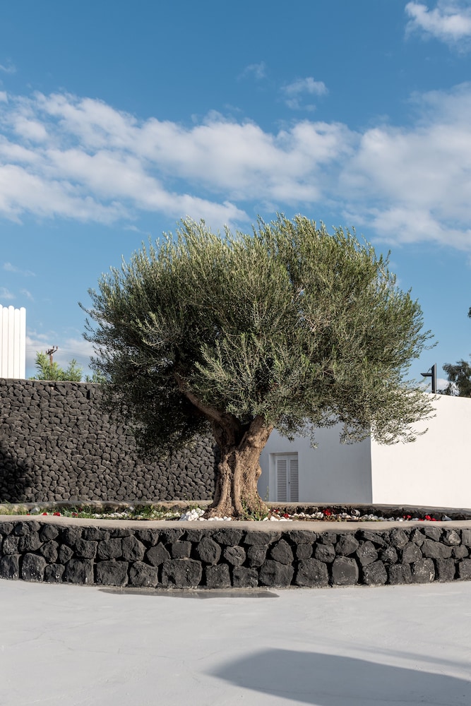 Santa Irina Luxury Sunny Lofts — Hotel building in Aghios Georgios (Santorini), South Aegean