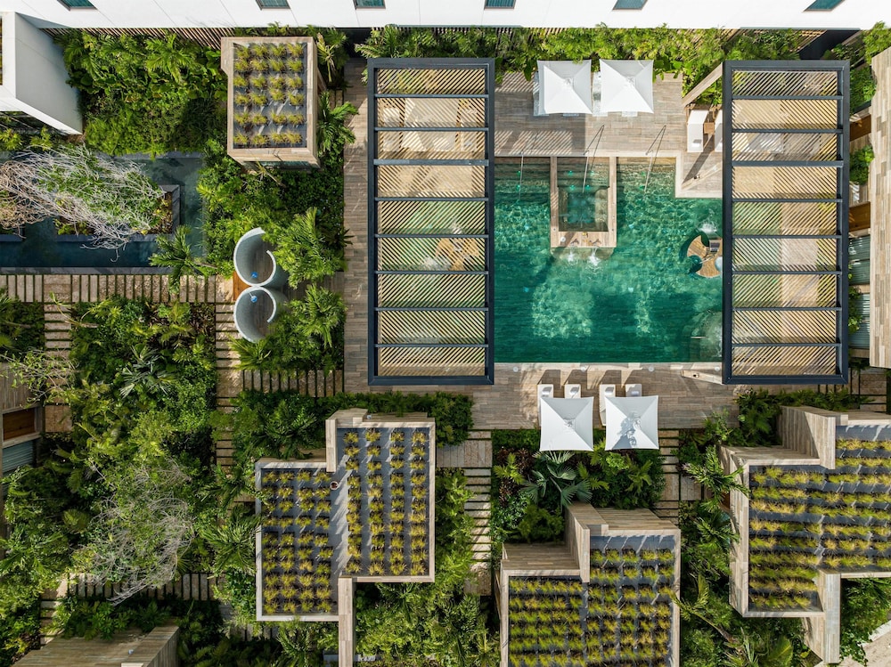 Waldorf Astoria Riviera Maya, an All-Inclusive Experience — Swimming pool in Puerto Morelos, Quintana Roo