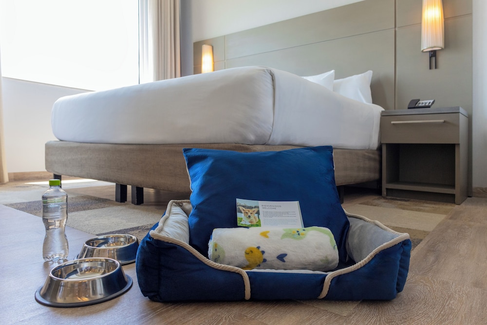 Residence Inn by Marriott Cancun Hotel Zone — Hotel rooms in Cancun, Quintana Roo