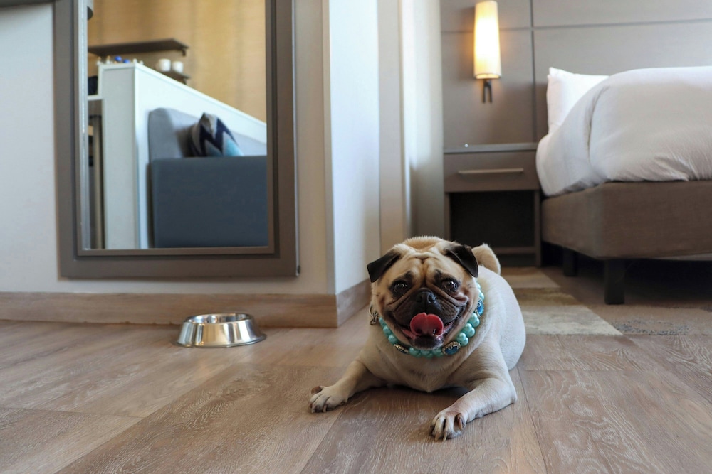 Residence Inn by Marriott Cancun Hotel Zone — Hotel rooms in Cancun, Quintana Roo