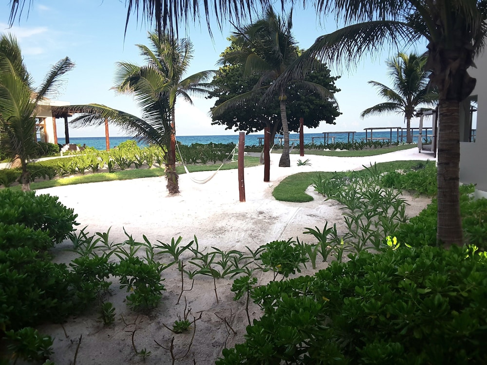 Akumal Bay Beach & Spa Resort All Inclusive — Beach in Akumal, Quintana Roo