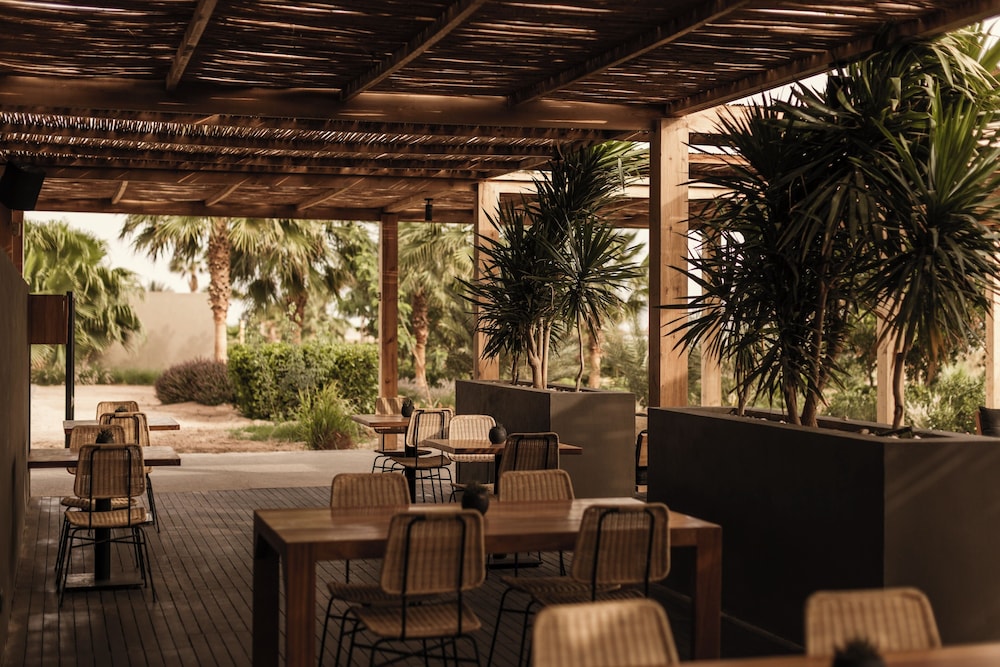 Casa Cook El Gouna - Adults Only — Restaurant & bars in El Gouna, Red Sea