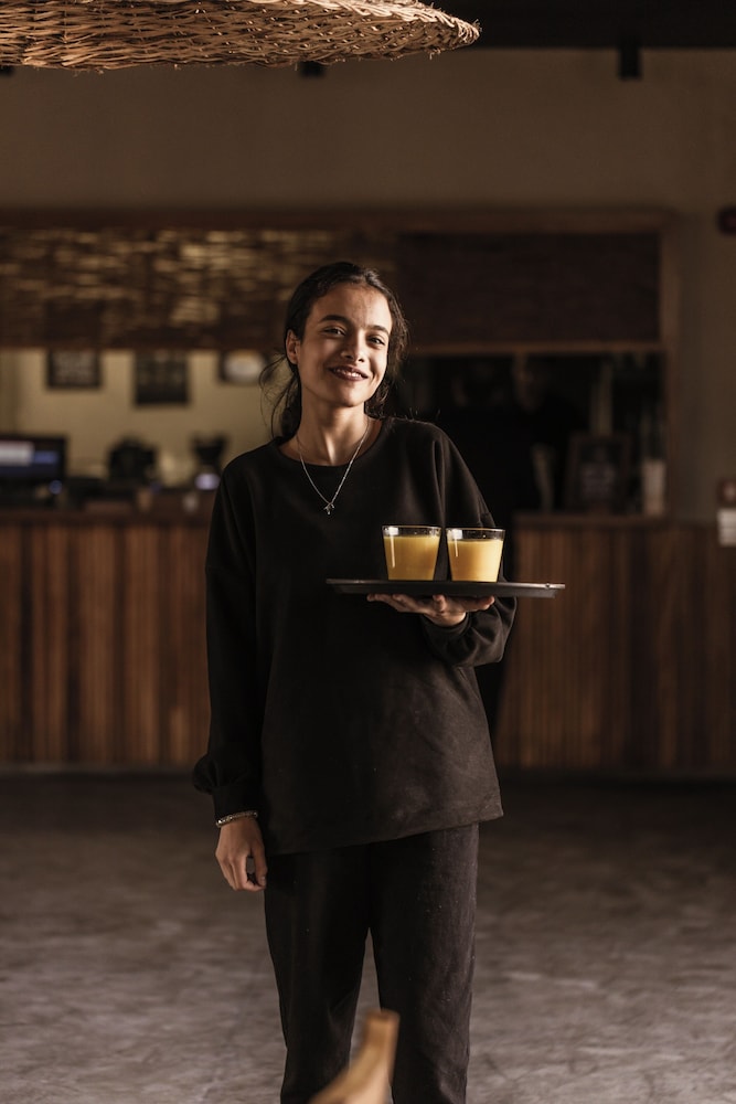 Casa Cook El Gouna - Adults Only — Restaurant & bars in El Gouna, Red Sea