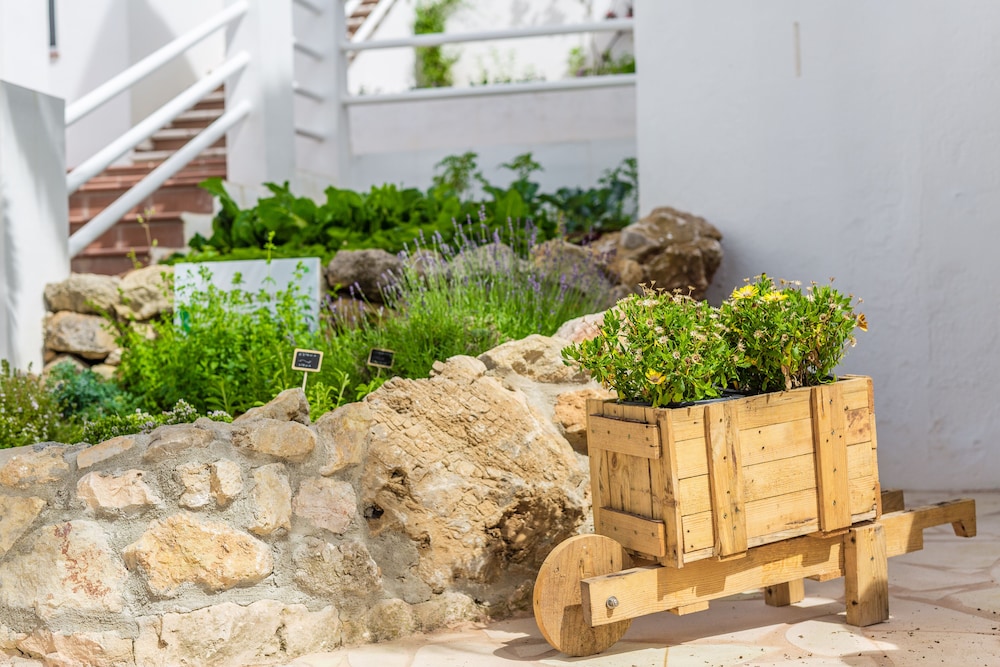 White Sands Beach Club — Hotel building in Arenal d'en Castell, Balearic Islands