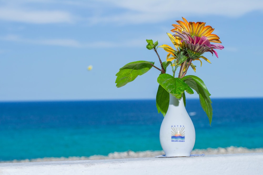 Hotel Dreams Beach — Beach in Sousse, Sousse