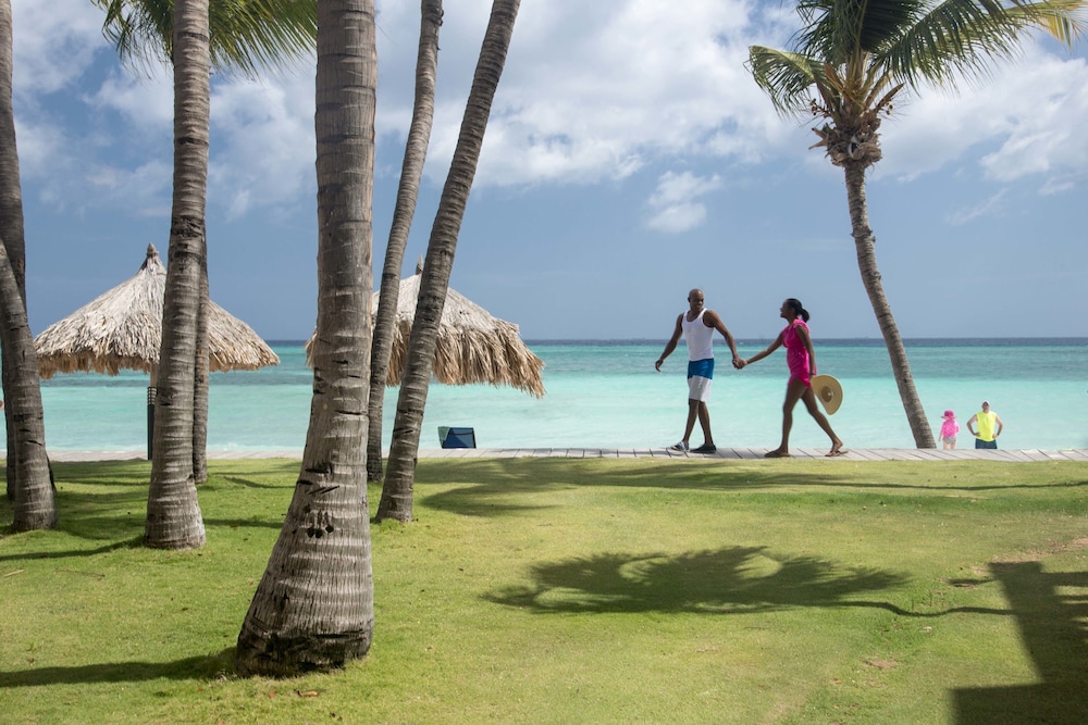 Divi Dutch Village Beach Resort — Beach in Oranjestad, Aruba
