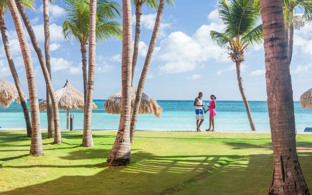 Divi Dutch Village Beach Resort — Beach in Oranjestad, Aruba