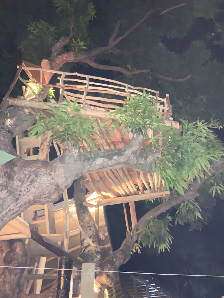 Green Fig Resort & Spa — Hotel building in Soufriere