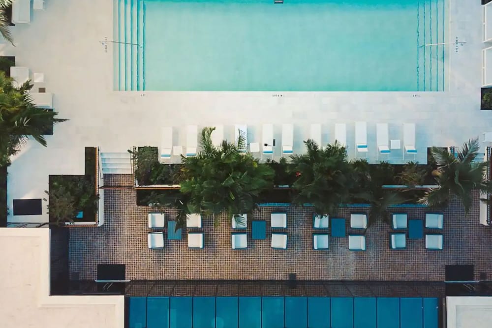 Hotel Haya — Swimming pool in Tampa, Florida