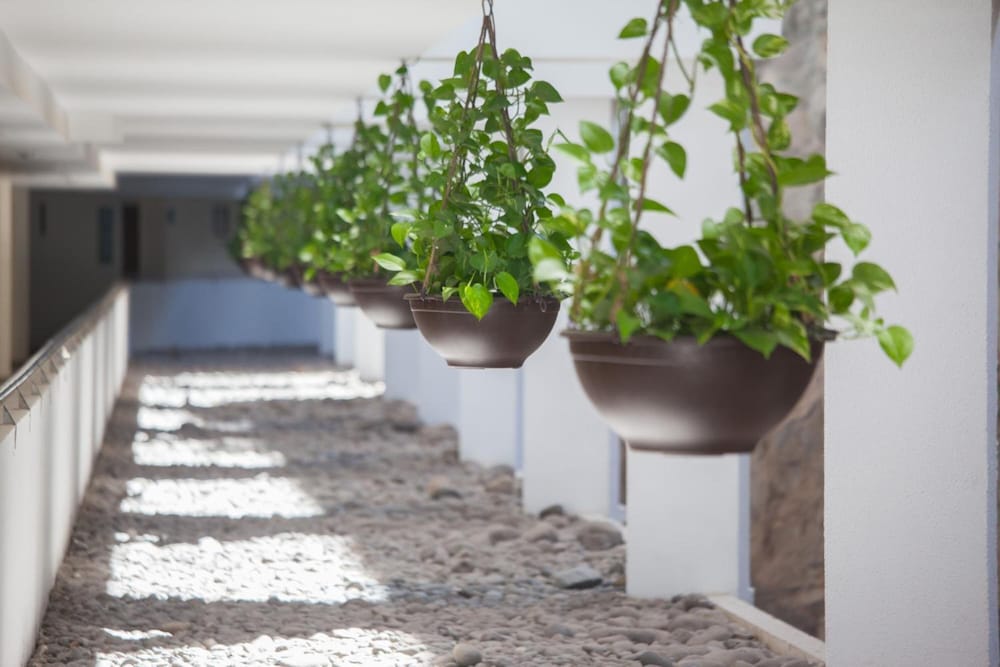 Grupotel Revoli — Hotel building in Puerto Rico, Canary Islands