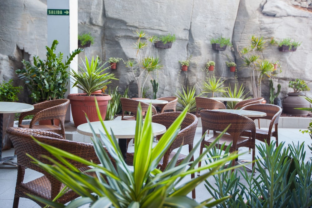 Grupotel Revoli — Restaurant & bars in Puerto Rico, Canary Islands