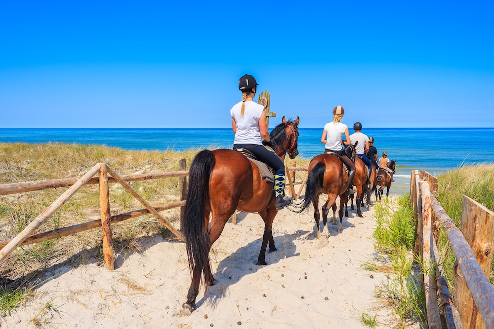 Aparthotel Playa Parc — Beach in Son Parc, Balearic Islands