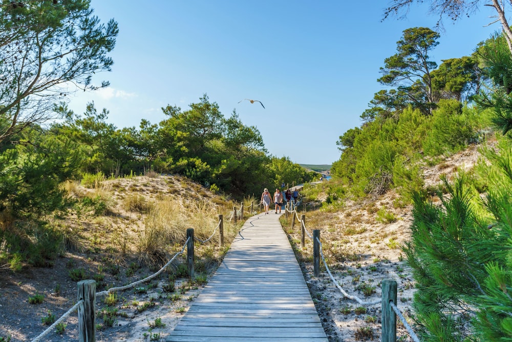 Aparthotel Playa Parc — Attractions in the area in Son Parc, Balearic Islands