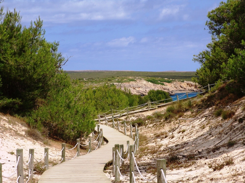 Aparthotel Playa Parc — Attractions in the area in Son Parc, Balearic Islands