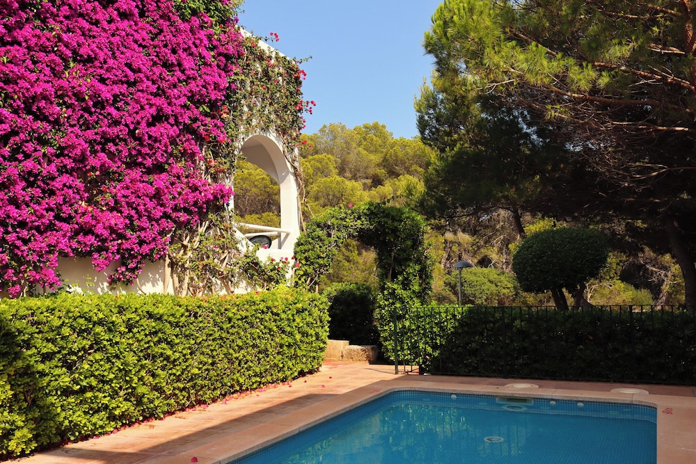 Aparthotel Playa Parc — Swimming pool in Son Parc, Balearic Islands