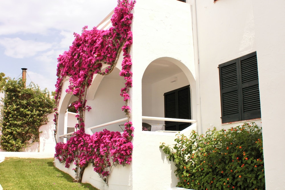 Aparthotel Playa Parc — Hotel building in Son Parc, Balearic Islands