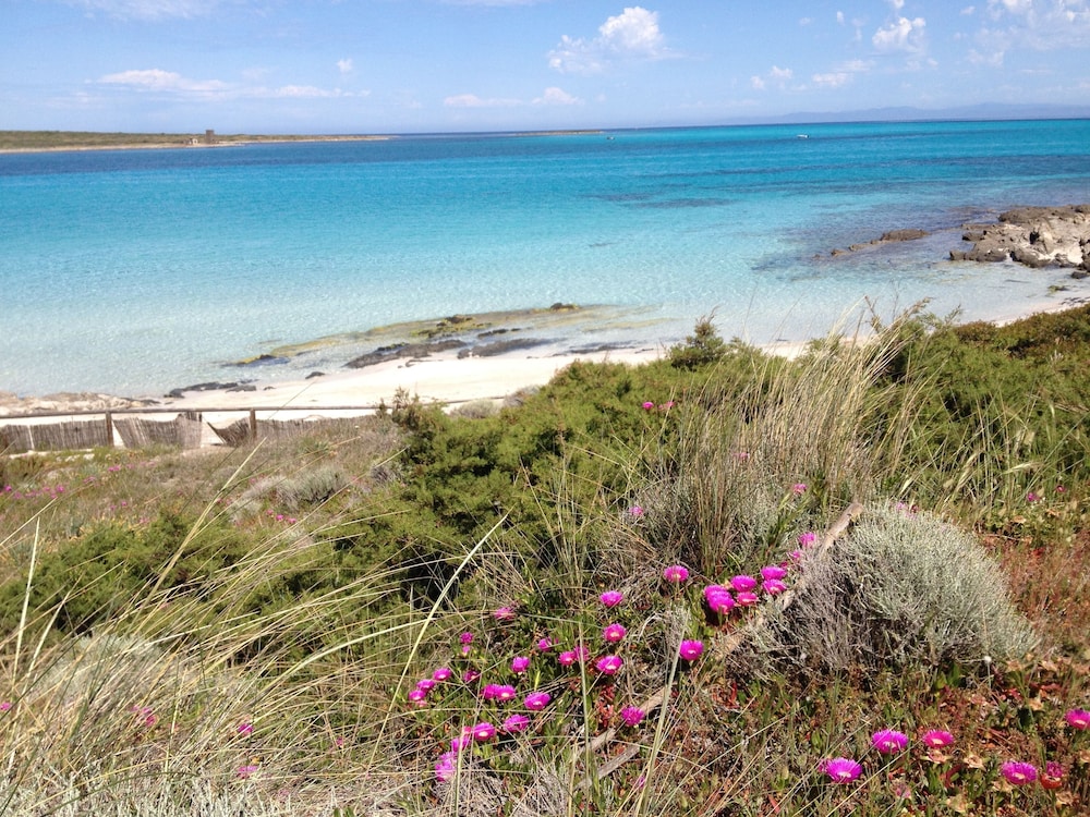 Cala Rosa Club Hotel — Beach in Stintino, Sardinia