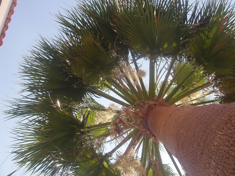 Paradise Apartments — Beach in Laganas, Ionian Islands