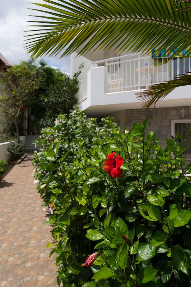 Melissa Apartments, Studios & Suites — Hotel building in Malia