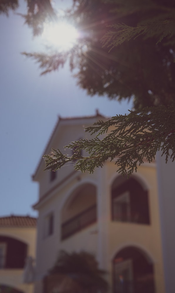 Erietta Aparthotel — Hotel building in Tsilivi, Ionian Islands