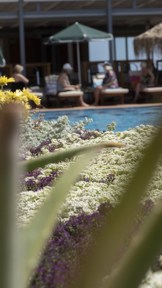 Maleme Mare Beach Resort Hotel — Swimming pool in Platanias