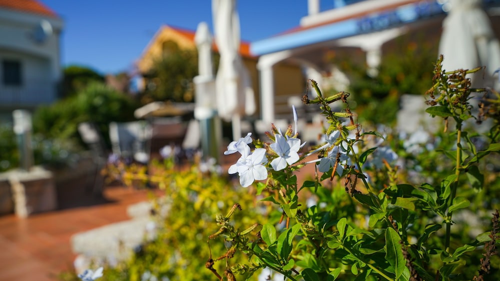 Hotel Belvedere — Hotel building in Sukošan, Zadar