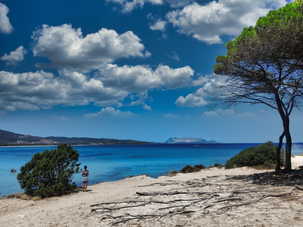 Residence Bouganvillage — Beach in Budoni, Sardinia