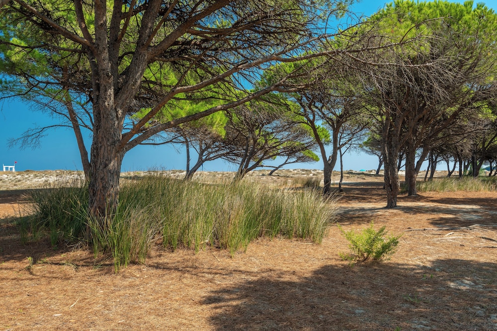 Residence Bouganvillage — Beach in Budoni, Sardinia