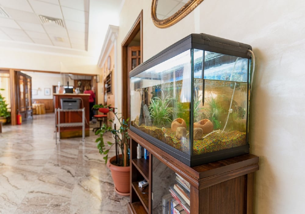 Villa Delle Rose — Hotel building in Oristano, Sardinia