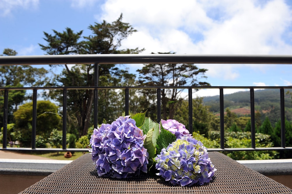 Quinta Cova do Milho — Attractions in the area in Santa Cruz, Madeira