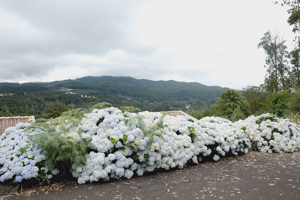 Quinta Cova do Milho — Attractions in the area in Santa Cruz, Madeira