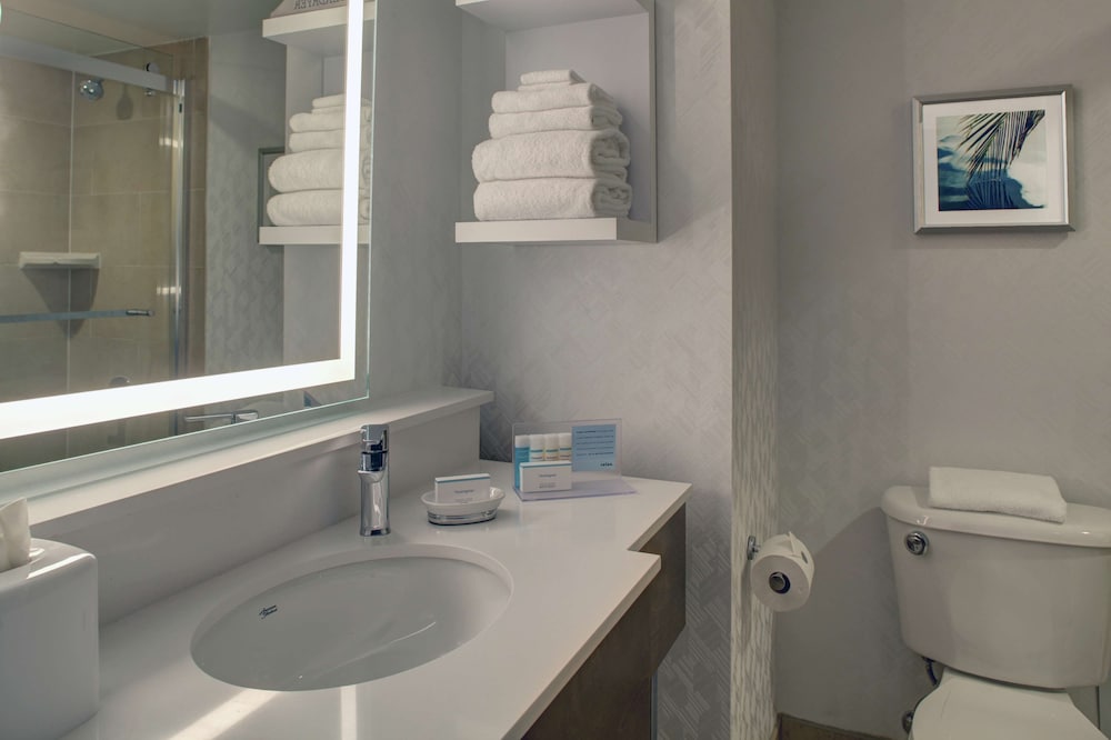 Hampton Inn & Suites Miami-Airport South-Blue Lagoon — Hotel rooms in Miami, Florida
