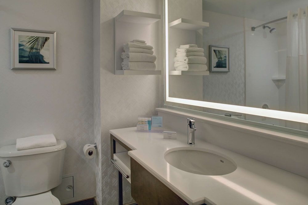 Hampton Inn & Suites Miami-Airport South-Blue Lagoon — Hotel rooms in Miami, Florida