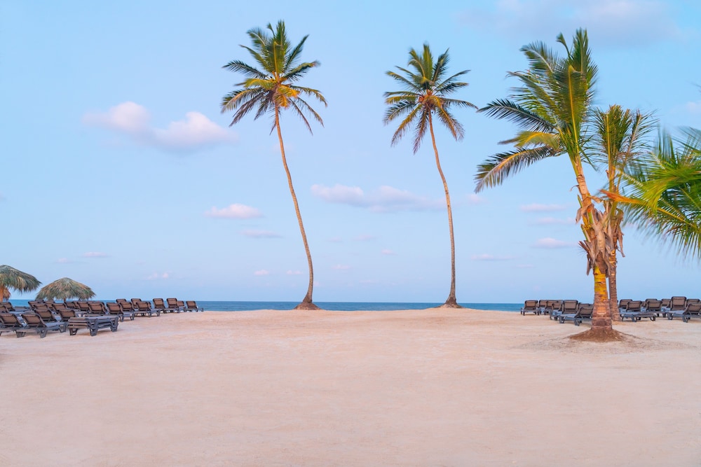 El Beso Adults Only At Ocean El Faro - All Inclusive — Beach in Uvero Alto, La Altagracia