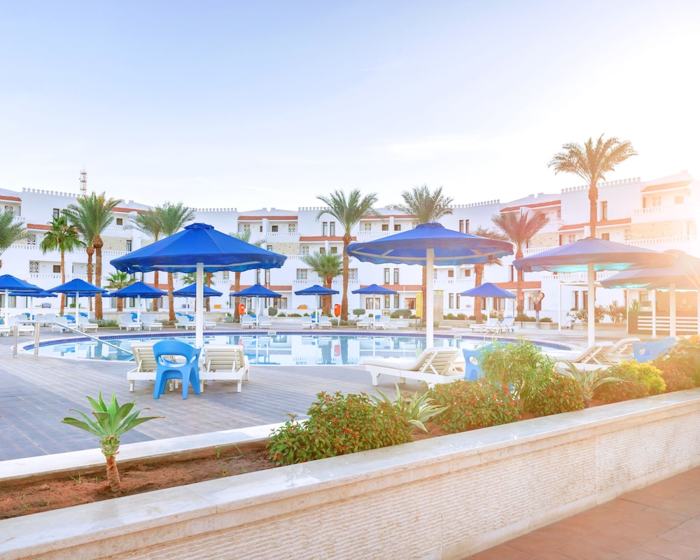 Albatros Sharm Resort - By Pickalbatros — Swimming pool in Sharm El Sheikh, Red Sea