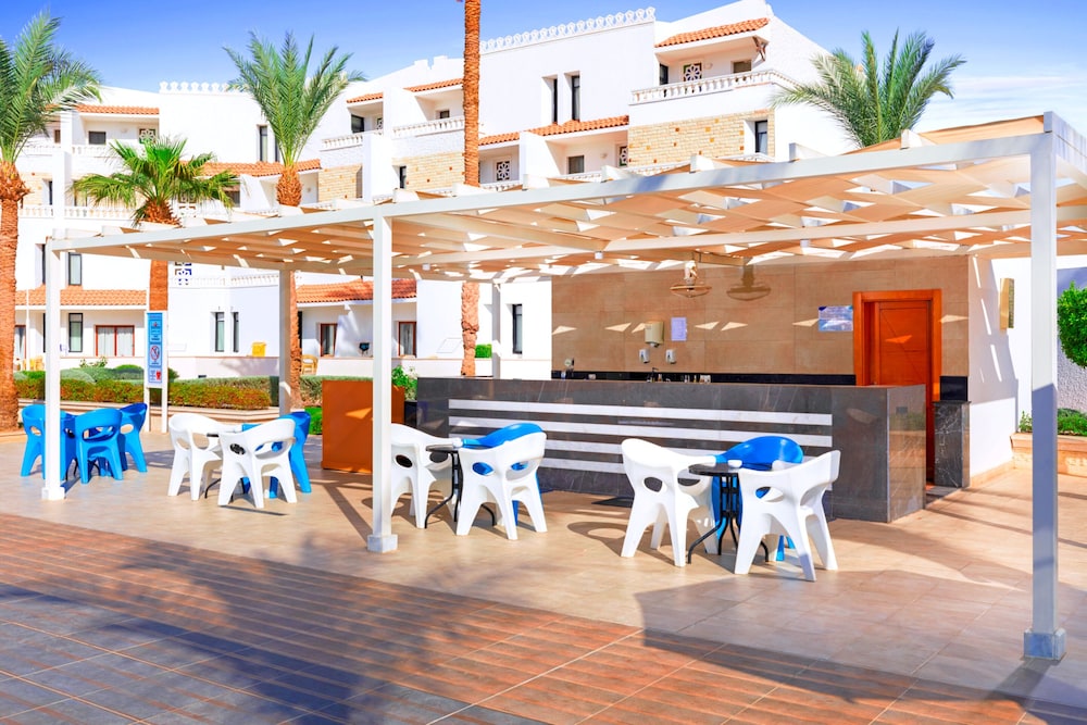Albatros Sharm Resort - By Pickalbatros — Restaurant & bars in Sharm El Sheikh, Red Sea