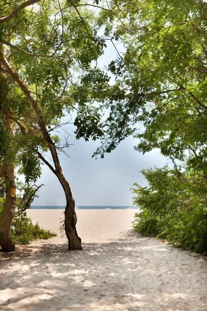Hotel Mura All Inclusive — Beach in Albena, Dobrich