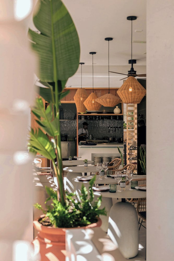 Nativo Ibiza by NCalma Hotels — Restaurant & bars in Santa Eulalia, Balearic Islands