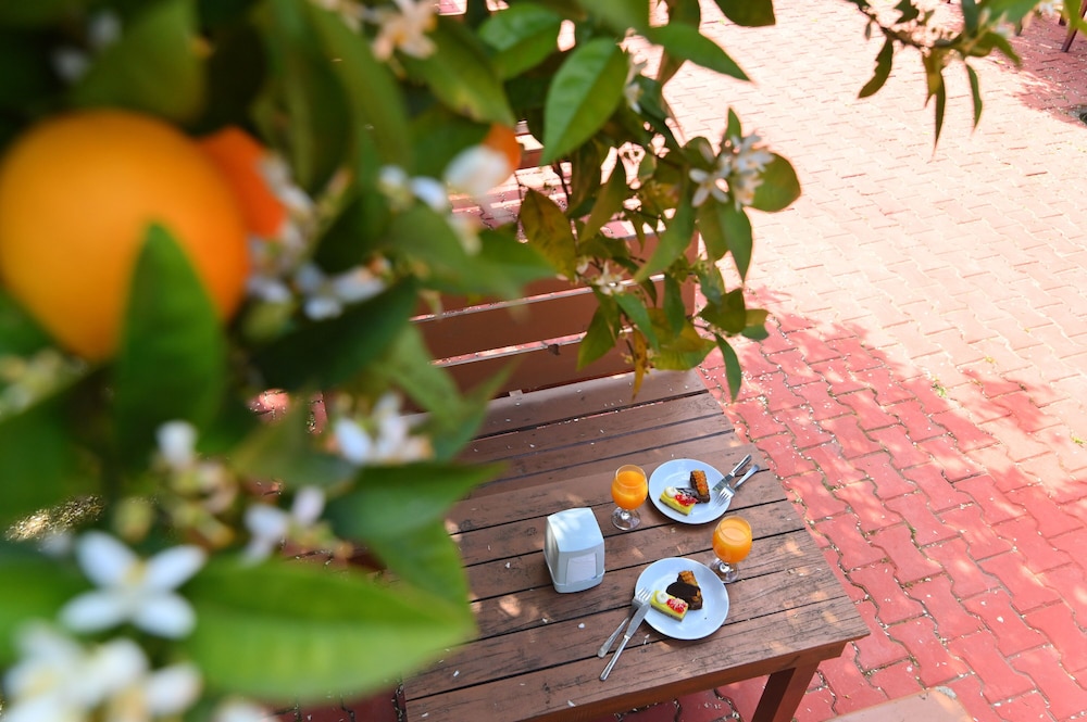 Grand Hotel Derin - All Inclusive — Outdoor in Kemer