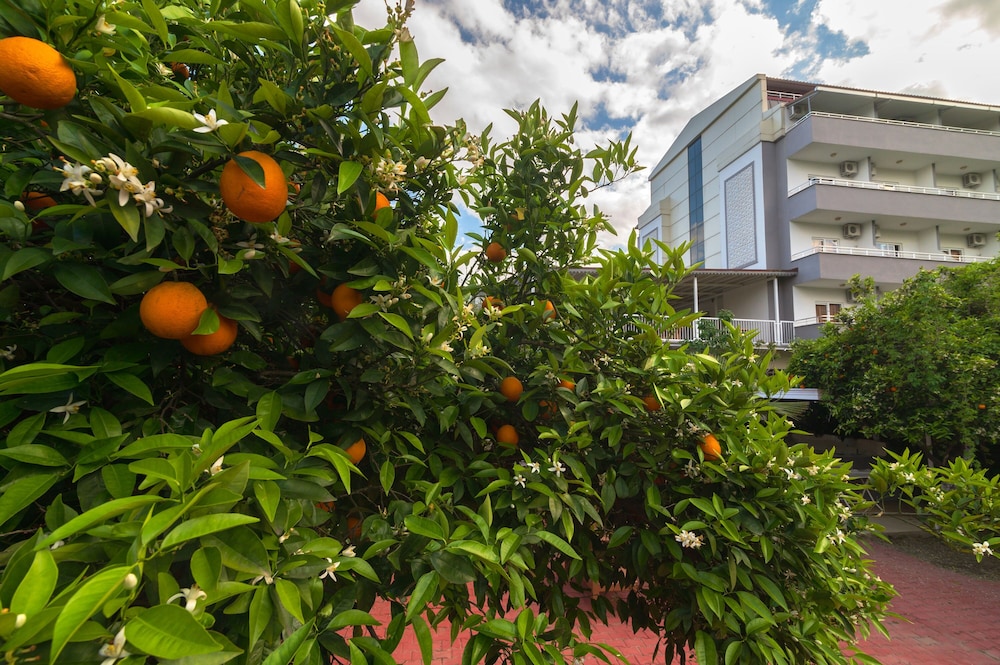 Grand Hotel Derin - All Inclusive — Outdoor in Kemer