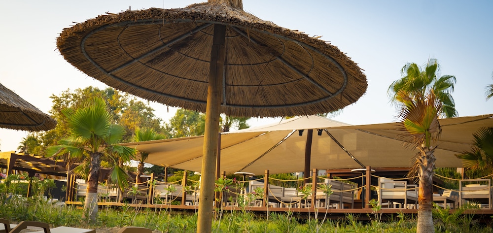 Adora Calma Beach Hotel - Adults Only — Restaurant & bars in Side
