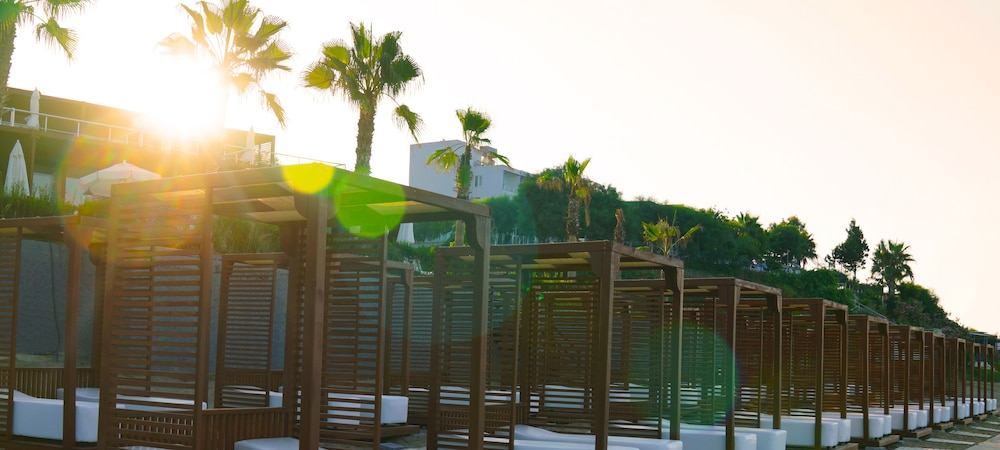 Adora Calma Beach Hotel - Adults Only — Beach in Side