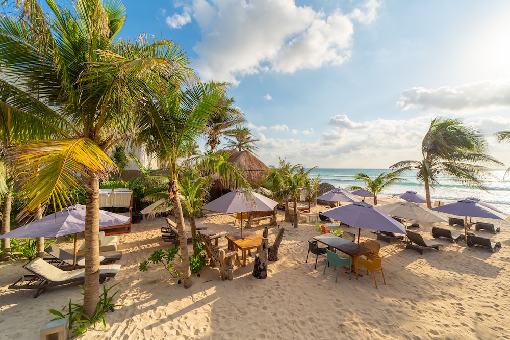 Mvngata Beach Hotel — Beach in Playa del Carmen, Quintana Roo